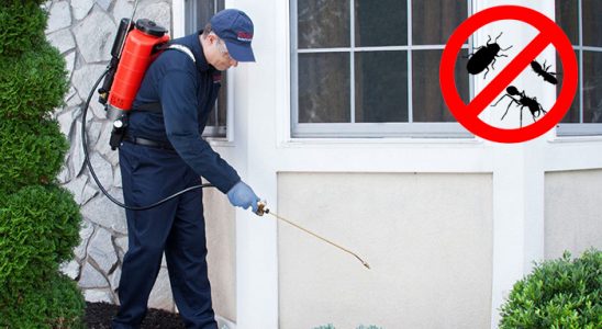 Yayladağı Böcek İlaçlama böcek ilaçlama ve haşere kontrolü — ilaclama-tr.com